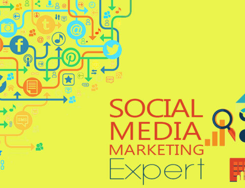 How to become a Social Media Expert